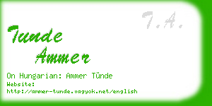 tunde ammer business card